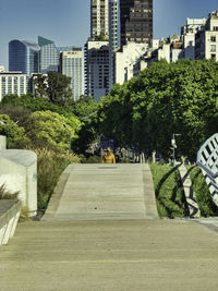 Street amidst trees and buildings in city against sky