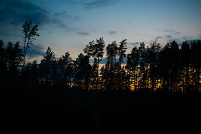 Silhouette of trees during sunset