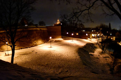 View of winter at night