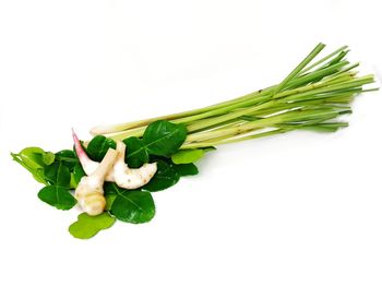 Directly above shot of green leaves on white background