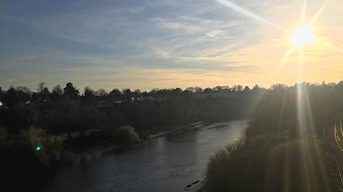 Panoramic view of trees against sky during sunset