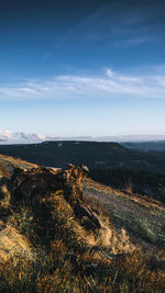 Aerial view of landscape against sky