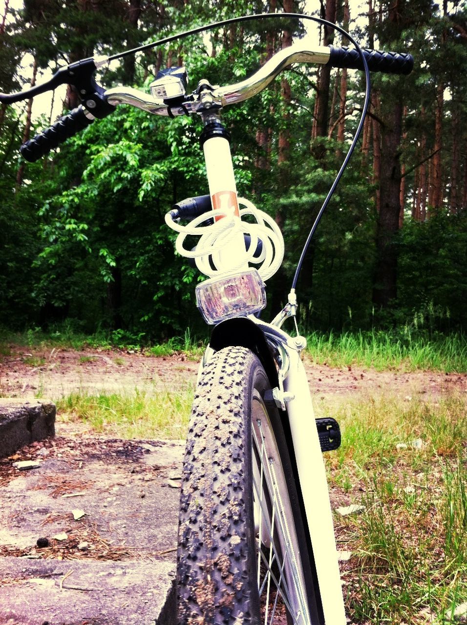 tree, transportation, land vehicle, mode of transport, bicycle, growth, day, grass, outdoors, field, forest, wheel, metal, plant, park - man made space, sunlight, no people, old, travel, human representation