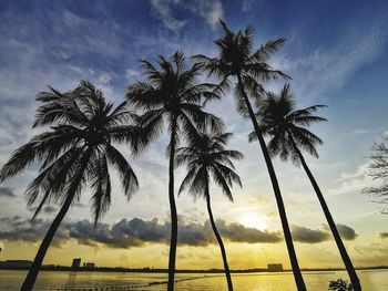 Silhouette palm trees against sky during sunset