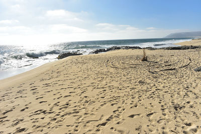 Scenic view of beach against sky