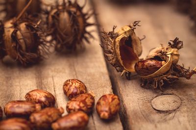 Close-up of dried leaves on table