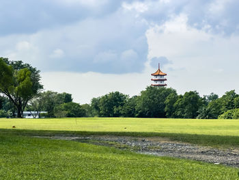 Trees on field against sky