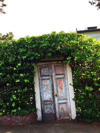 Closed door of building