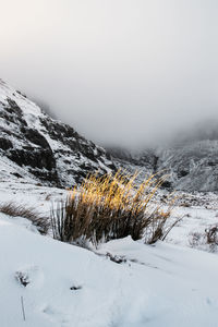 Frozen landscape against sky during winter