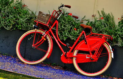 Side view of bicycle parked by plants