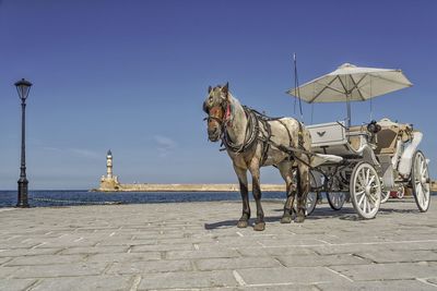 Low angle view of horse cart on walkway by river against sky during sunny day