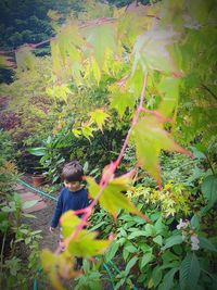 Full length of boy on plant