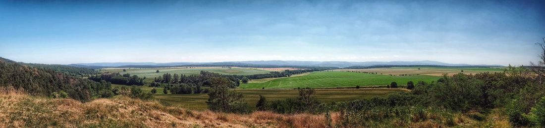 Scenic view of agricultural field against sky