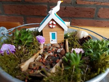 Close-up of potted plant against building