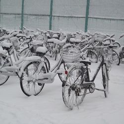 Cars parked in parking lot