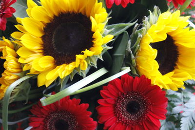 Close-up of multi colored flower bouquet