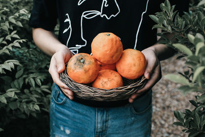 High angle view of hand holding fruits in container