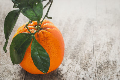 Close-up of orange fruit