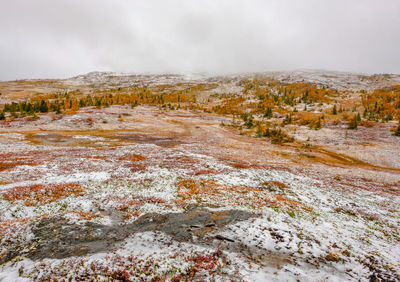 Scenic view of landscape against sky during winter