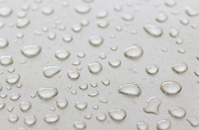 Close-up of water drops on  white surface