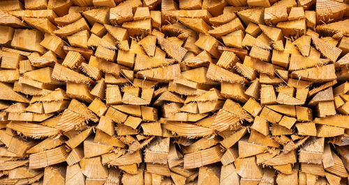 Full frame shot of wooden logs in forest