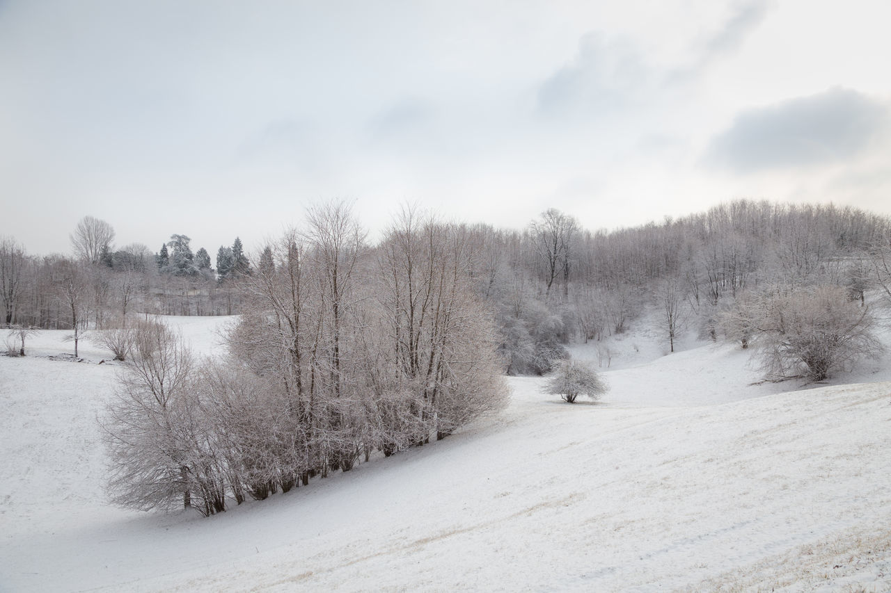 SNOW COVERED LAND AGAINST SKY