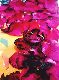 Close-up of pink flower