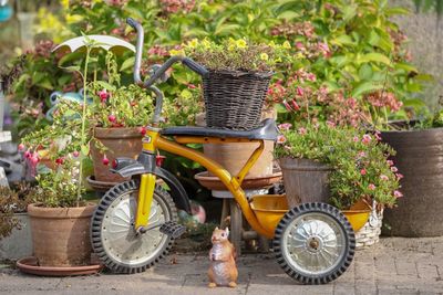 Potted plants on bicycle in yard