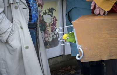 Patriot in s cage on paris