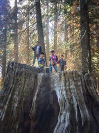Low angle view of people at forest