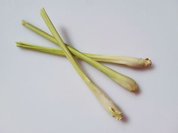 High angle view of vegetable on white background