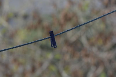 Close-up of barbed wire