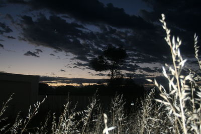 Scenic view of river against cloudy sky