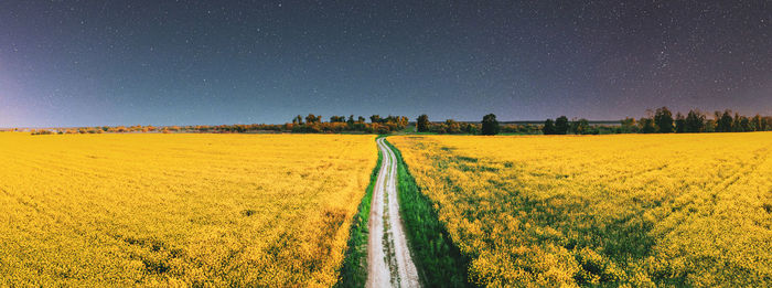 Scenic view of oilseed rape field against sky