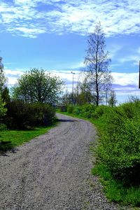 Empty road with trees in background