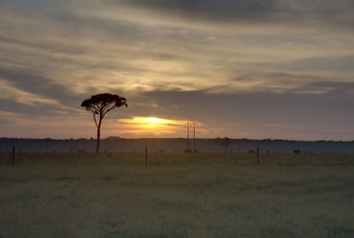 Scenic view of field against sky during sunset