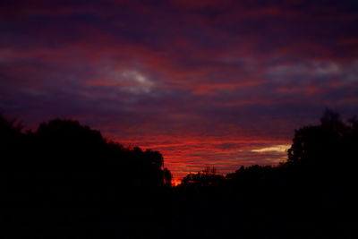 Silhouette trees against dramatic sky during sunset