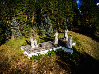 High angle view of statue amidst trees