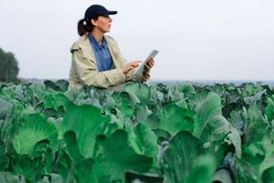 Farmer control quality of cabbage crop before harvesting. woman agronomist using digital tablet