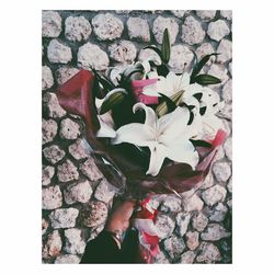 Flowers and leaves on stone wall