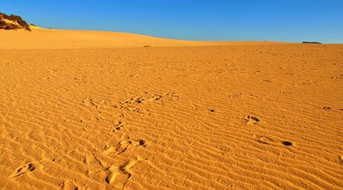 Sand dune in desert against clear sky