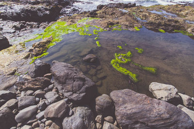 Rocks on rocks