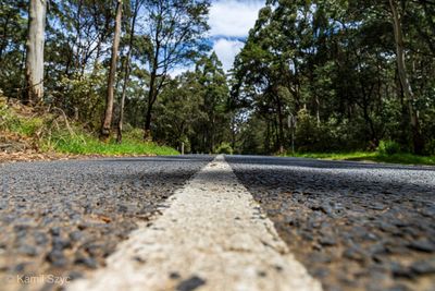 Surface level of road amidst trees against sky