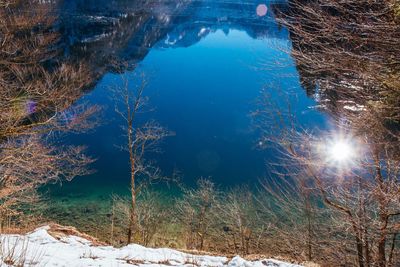 Reflection of trees on snow covered land