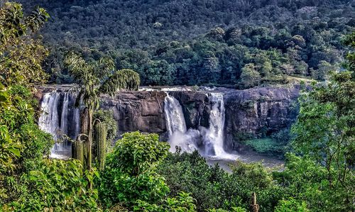 Scenic view of waterfall in forest