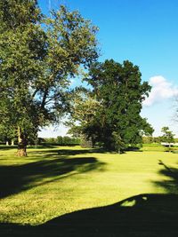 Trees on golf course against clear sky