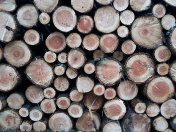 Full frame shot of logs