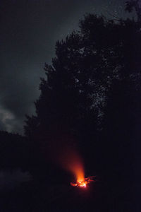 Low angle view of illuminated trees against sky at night