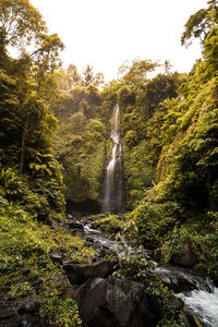 Scenic view of waterfall in forest against sky