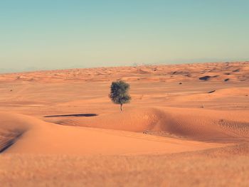 Scenic view of desert against clear sky